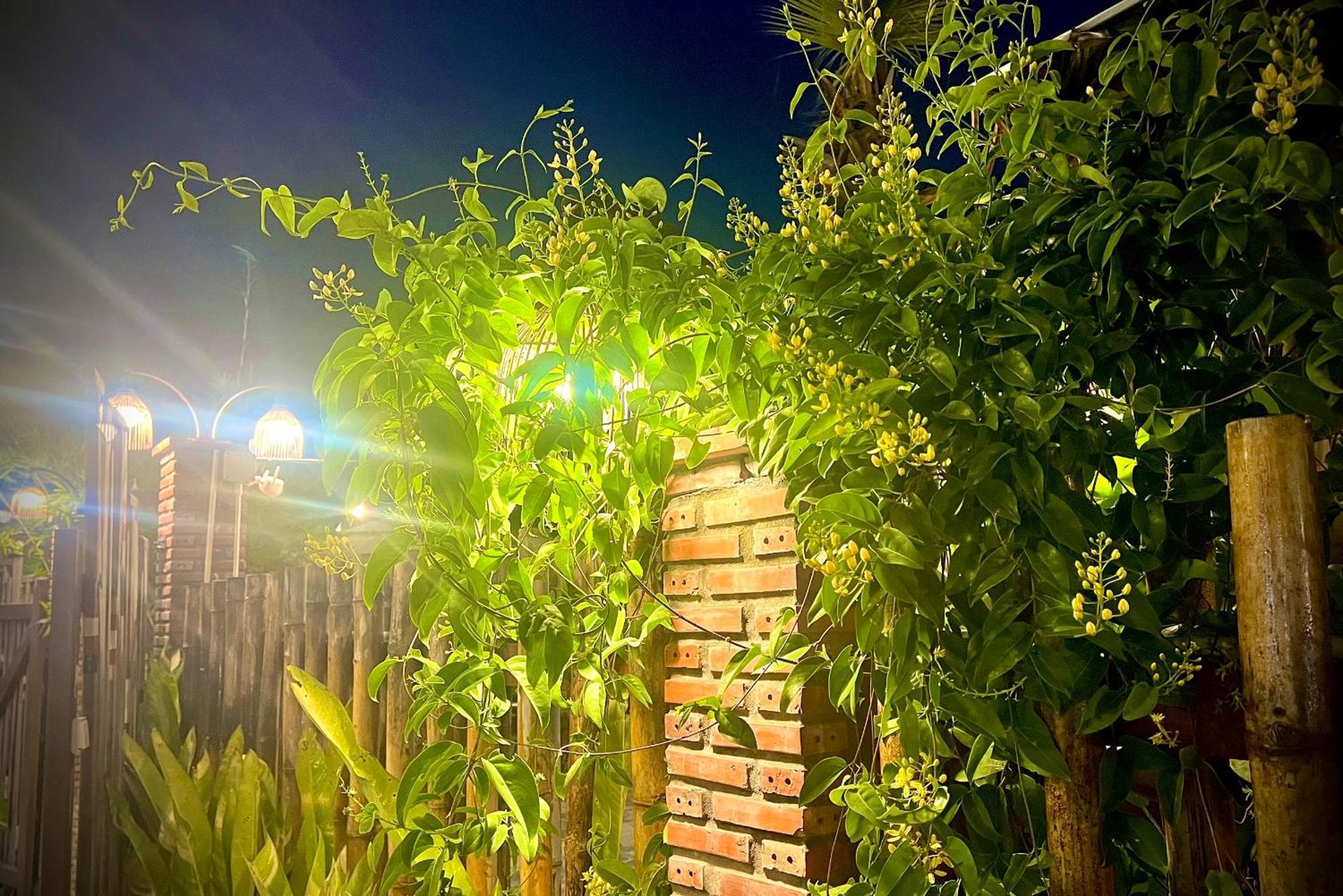 Ben Do Xua Homestay & Coffee Cai Rang Esterno foto