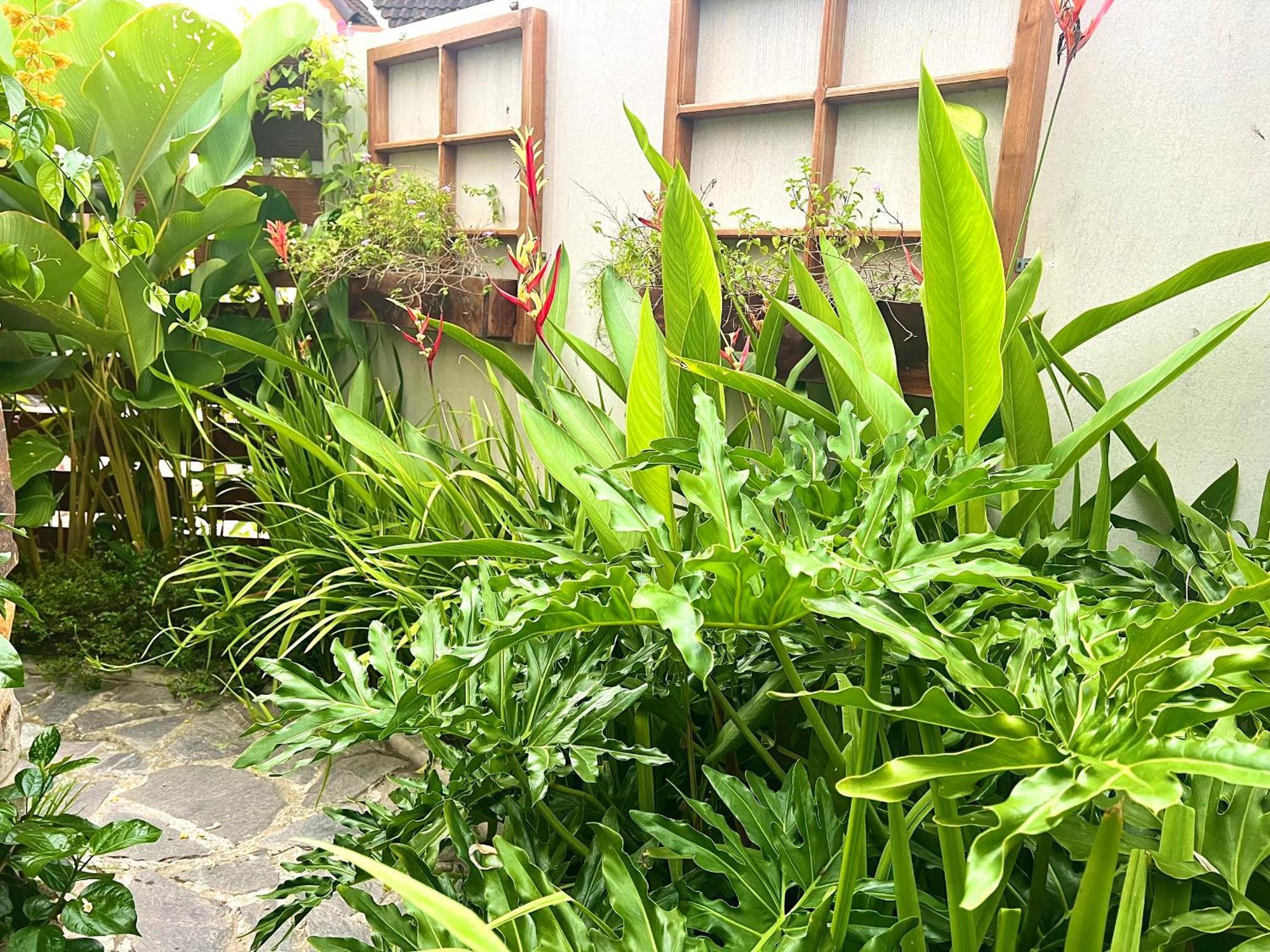 Ben Do Xua Homestay & Coffee Cai Rang Esterno foto